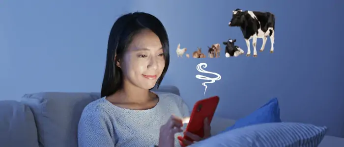 lady browsing animals online