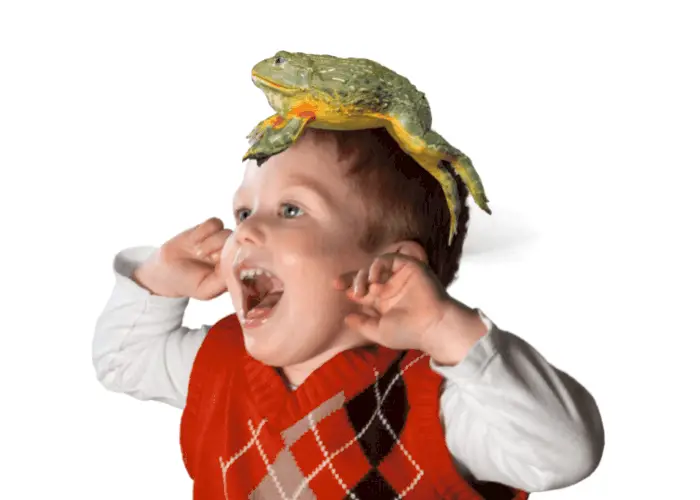 little boy screaming with a frog on his head