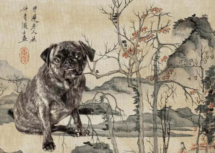 pug in ancient china