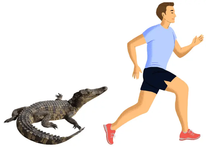 running away from an alligator 