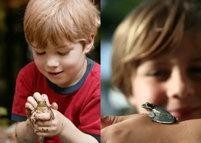 kid with its pet frogs