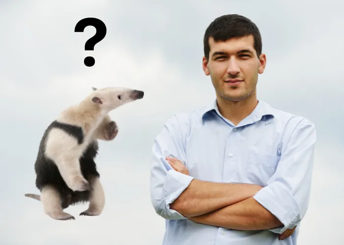 is an anteater aggresive to humans image