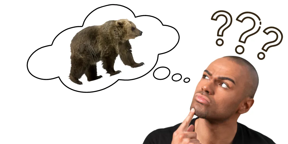 Can Bears Be Domesticated article featured image