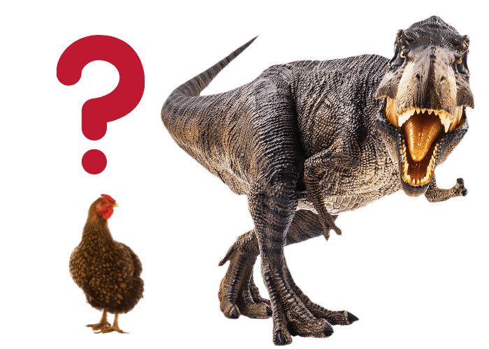 chicken with question mark and t-rex on white background