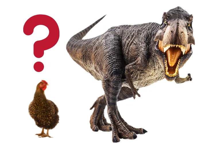 chicken with question mark and t-rex on white background