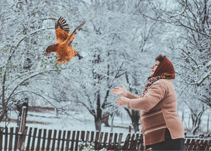 senior woman with her flying chicken