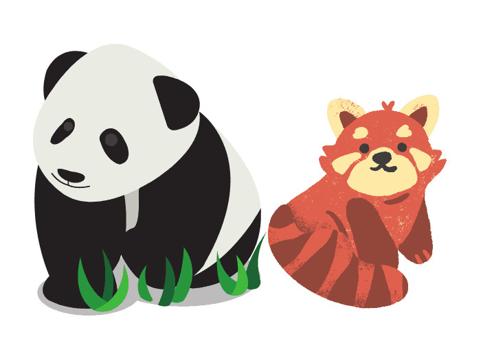 a giant and red pandas on white background