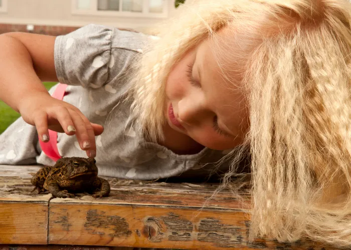 a young girl touching a frog