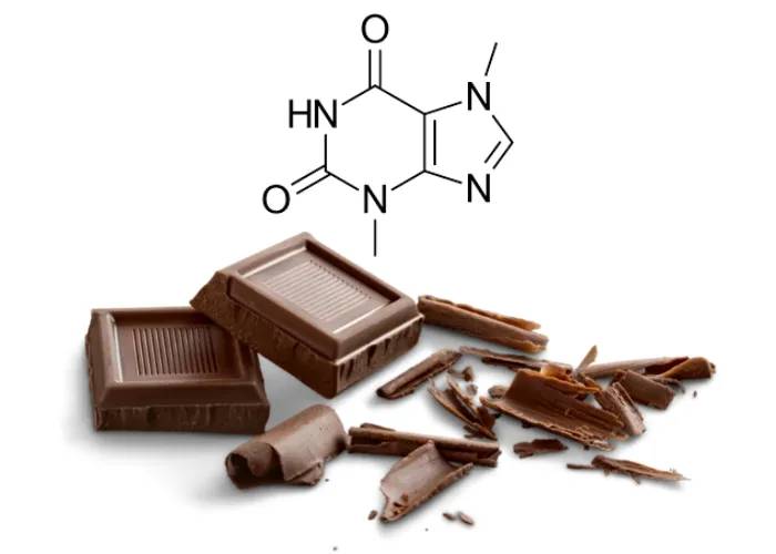 chocolate with theobromine elemnent shown