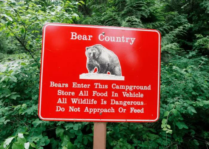 bear country sign