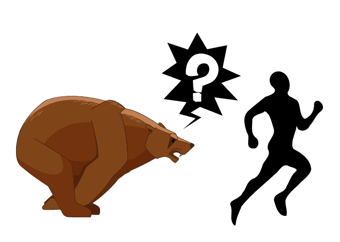 can bear outrun a human illustration
