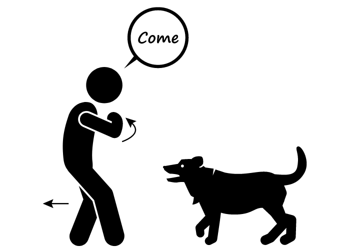 The "come" dog command graphics
