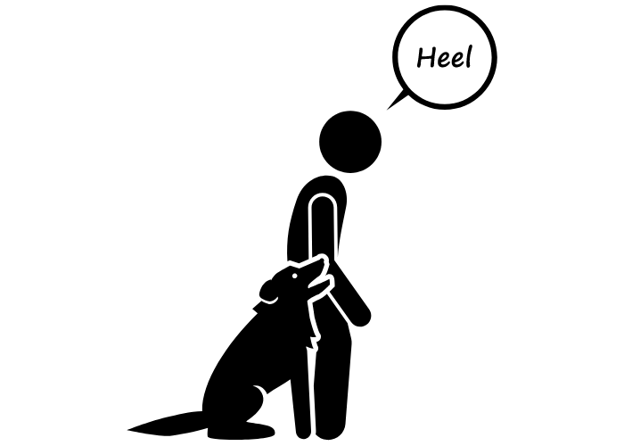 heel dog command graphics