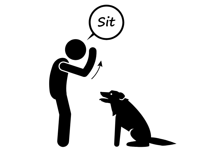 the "sit" dog command image 