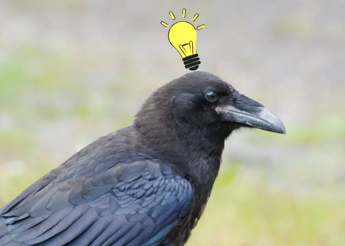 a crow with a light bulb on top of its head