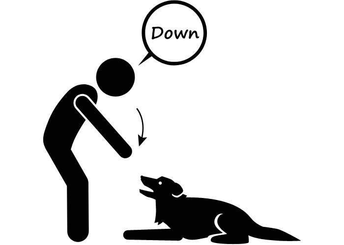 down dog command graphics