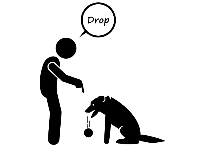 drop it dog command graphics