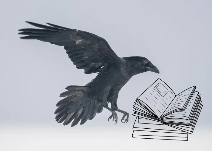 raven and literature symbol illustration