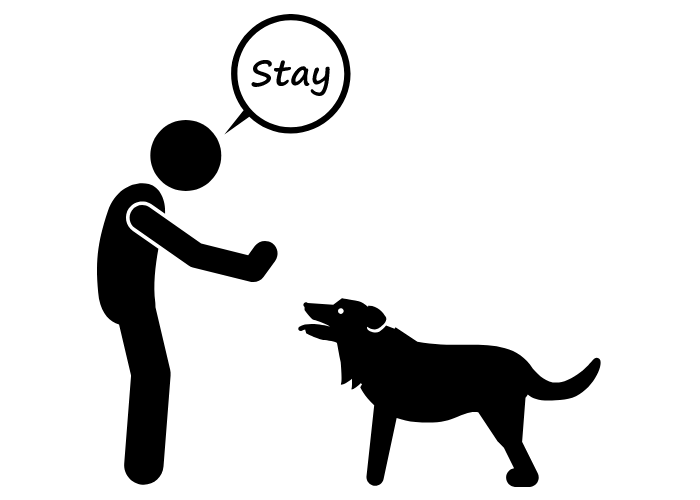 the "stay" dog command image
