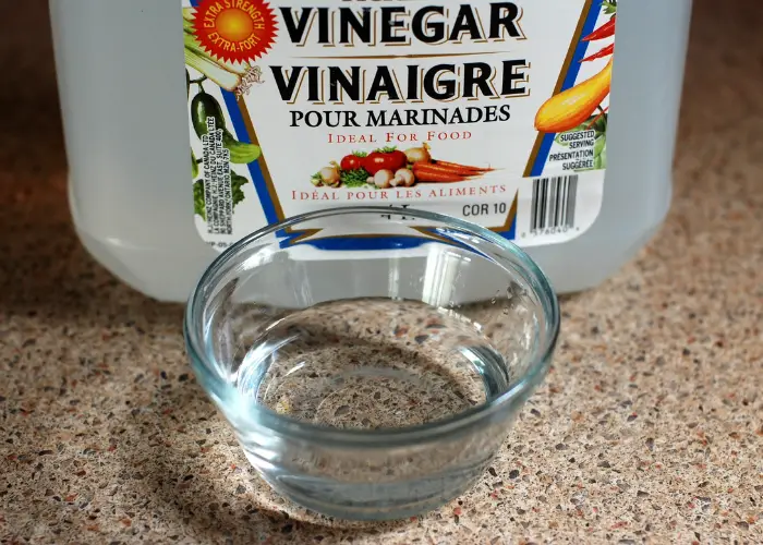 vinegar in container and small bowl