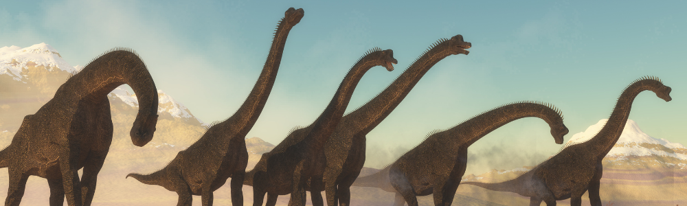 6 brachiosaurus walking