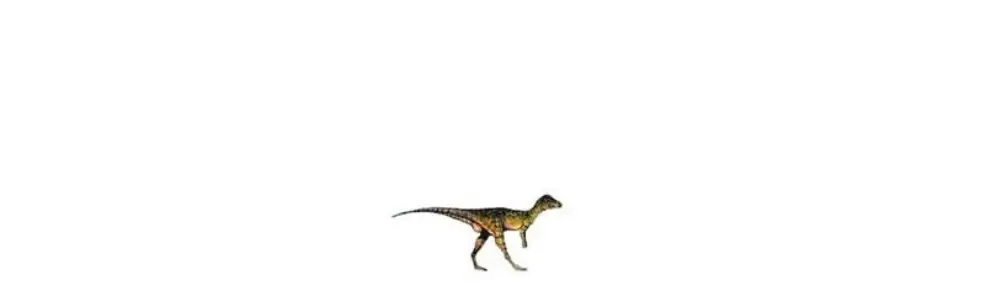 Micropachycephalosaurus on white background