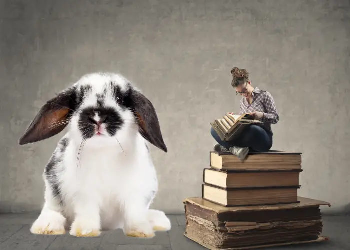 a lady sitting on books and reading with giant rabbit in front of her