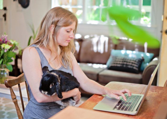 a lady with rabbit on her lap typing on her laptop