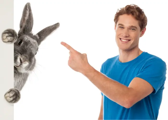 a man pointing a big rabbit