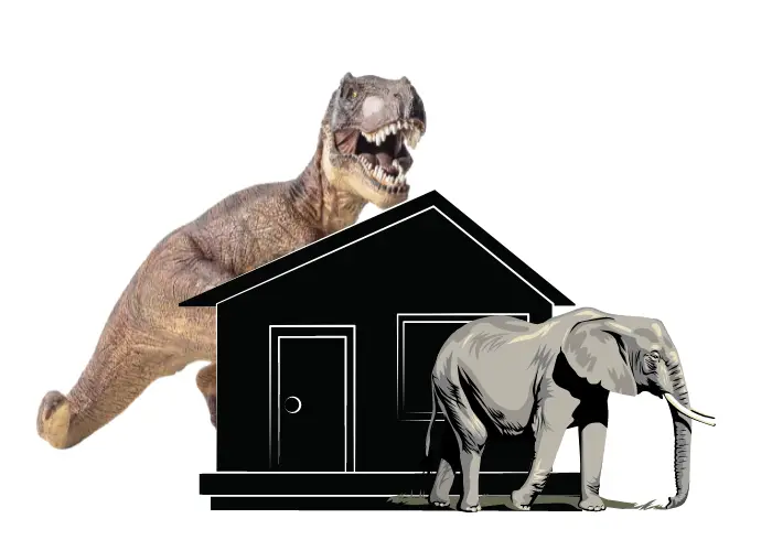 T-rex height versus single story house and african elephant