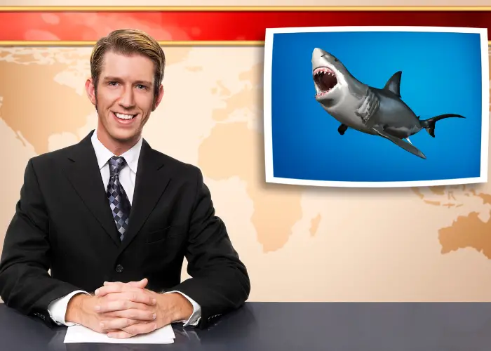 newscaster and a shark on TV