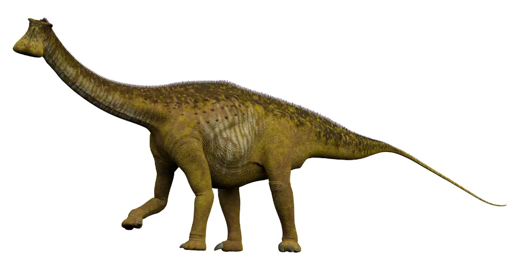 nigersaurus on white background