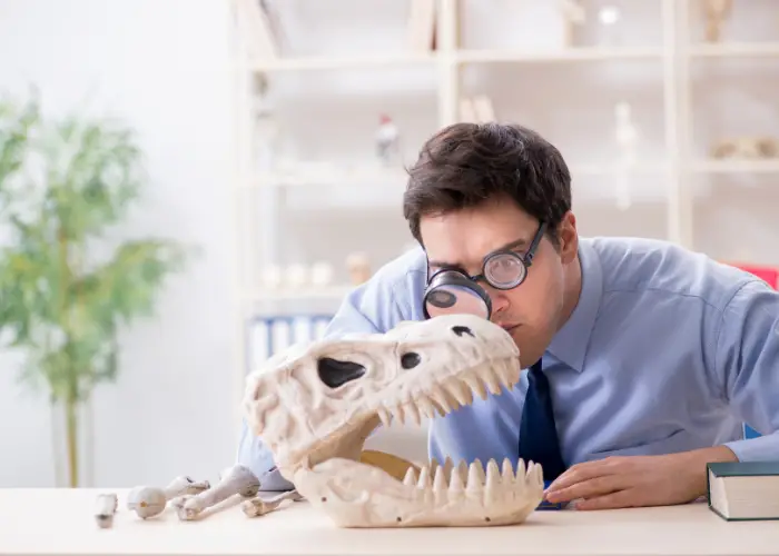 a man with eyeglasses studying dinosaur skull