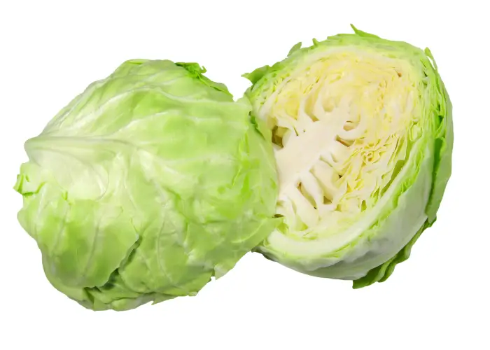 cabbage chopped in half