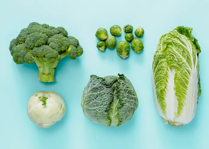 different types of cabbage on a light blue background