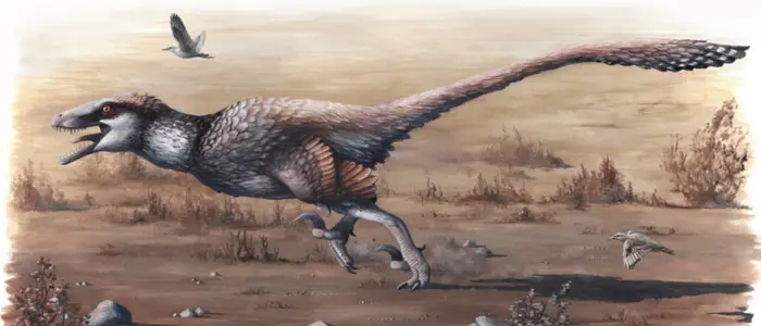 Dakotaraptor on the ground 