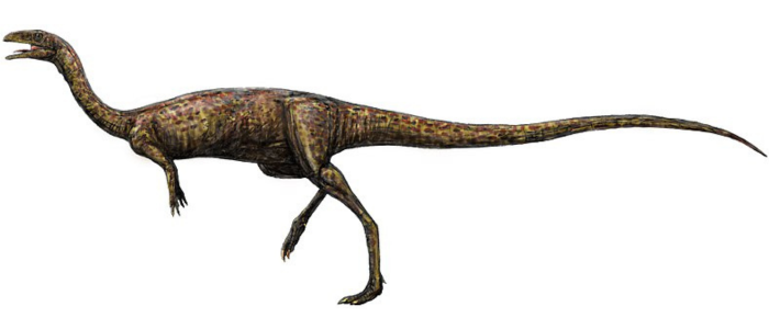 Elaphrosaurus image
