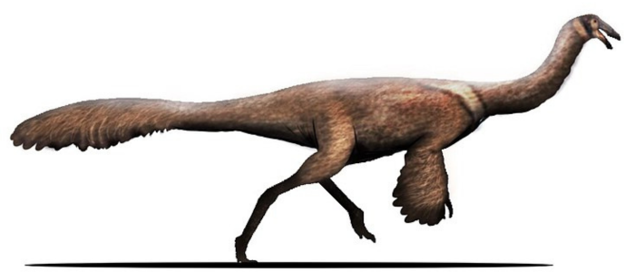 Ornithomimus image