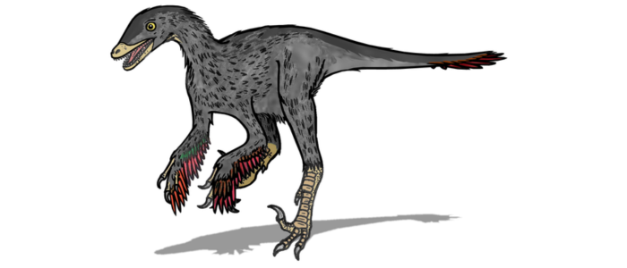 Saurornithoides image