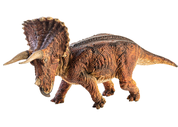 triceratops running on white background