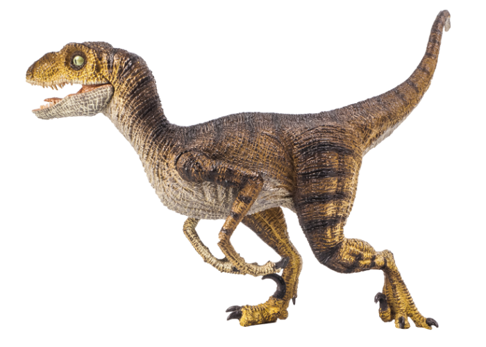 velociraptor dinosaur on white background