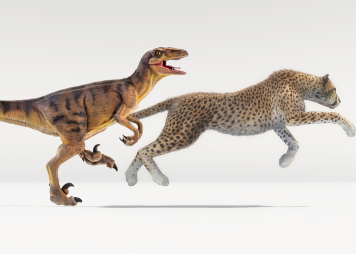 velociraptor vs cheetah running 