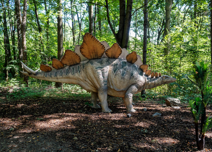 stegosaurus in the forest