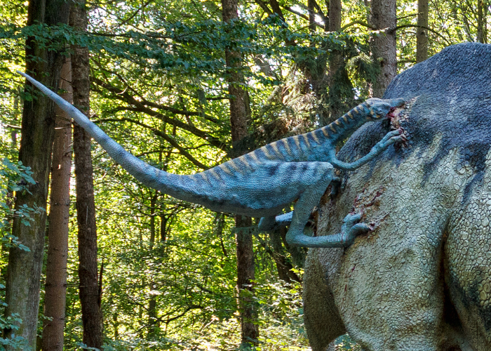 troodon attacking another dinosaur