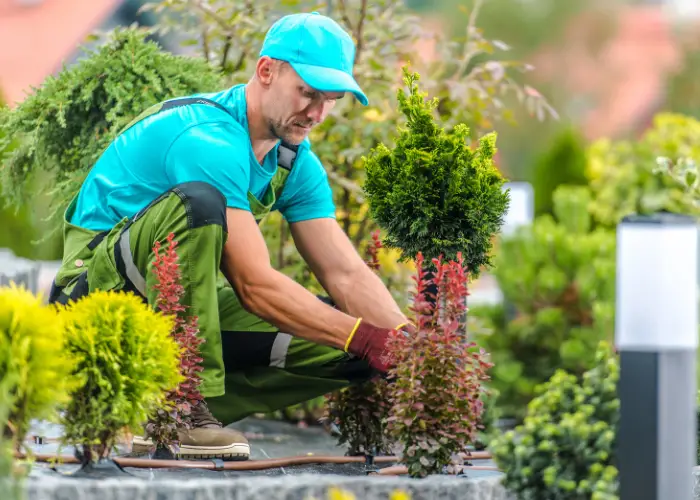 a gardener decorating a garden